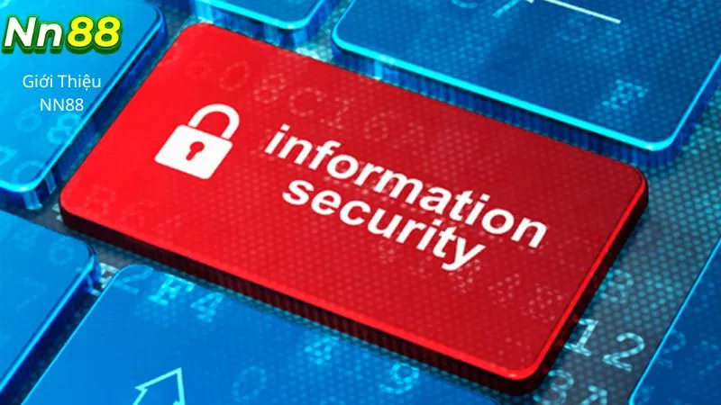 Điều Khoản Sử Dụng